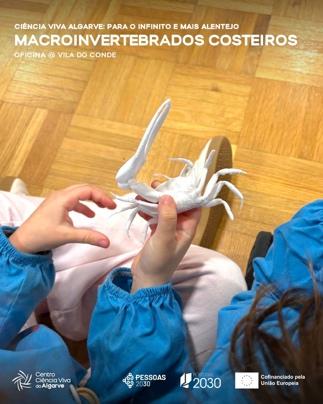 Ação B4 Vila do Conde - Foto 3