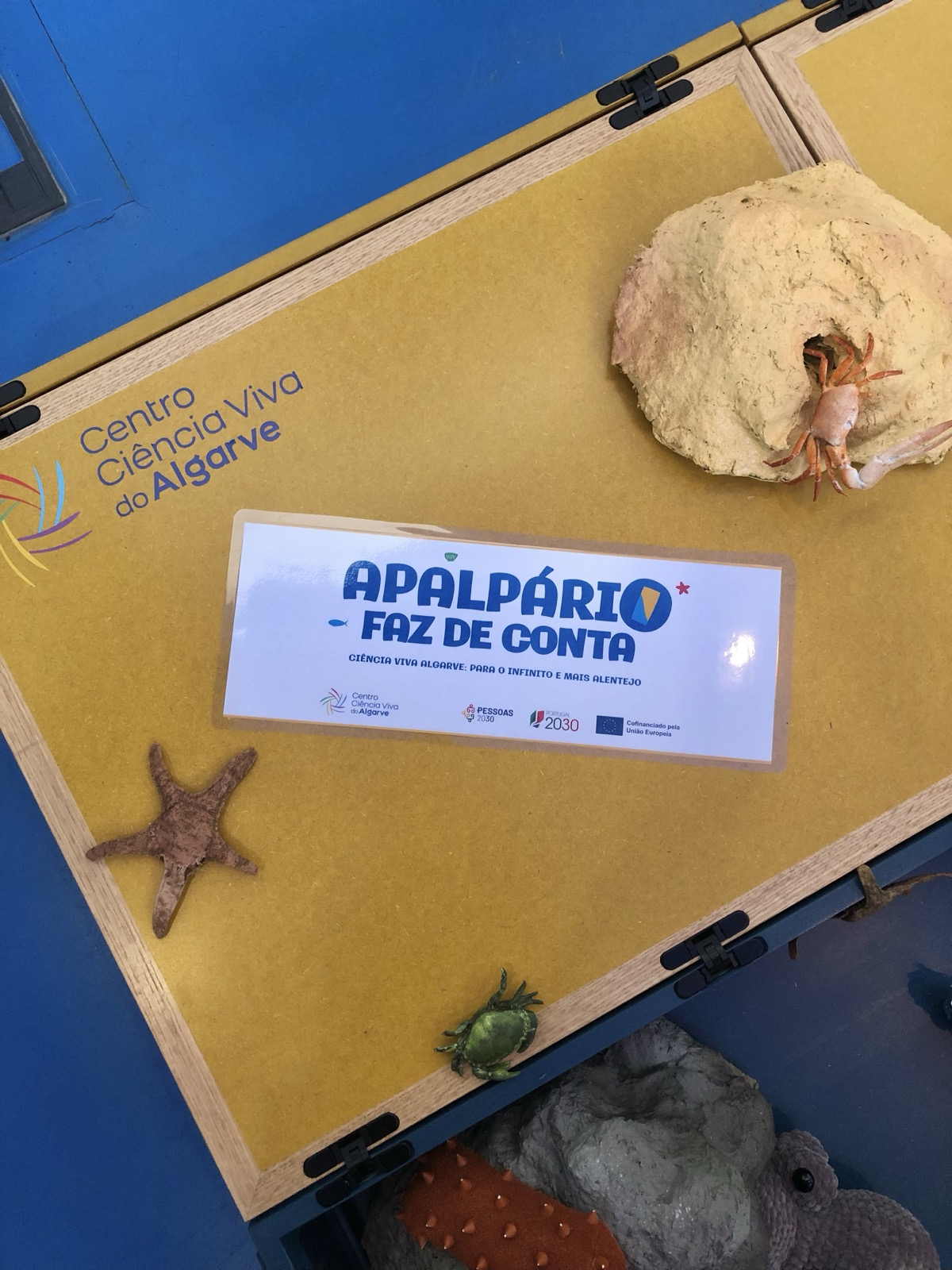 Apalpário Faz de Conta - Foto 1